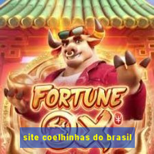 site coelhinhas do brasil